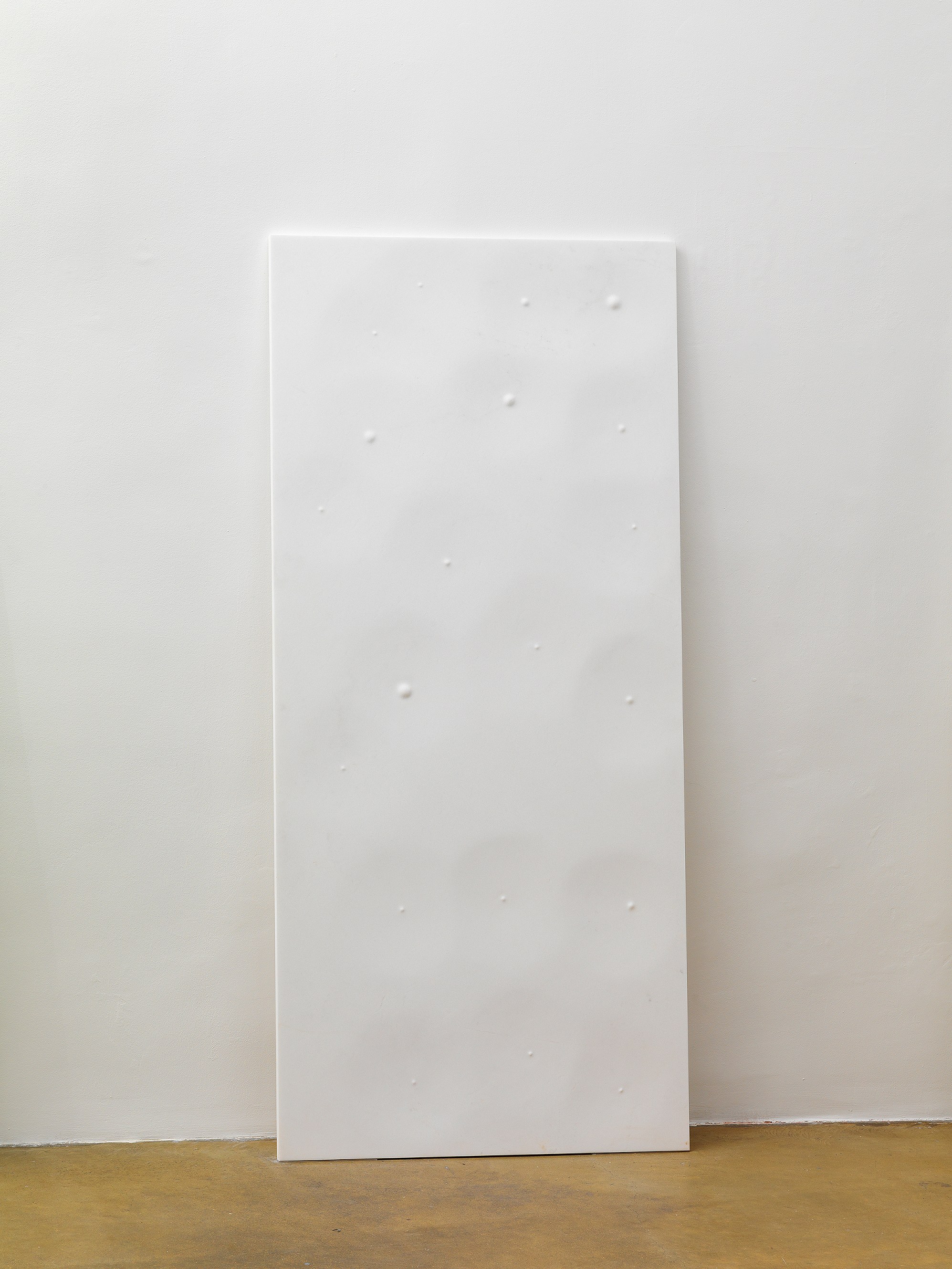 José María Sicilia, Eco at Galerie Chantal Crousel, photo 9