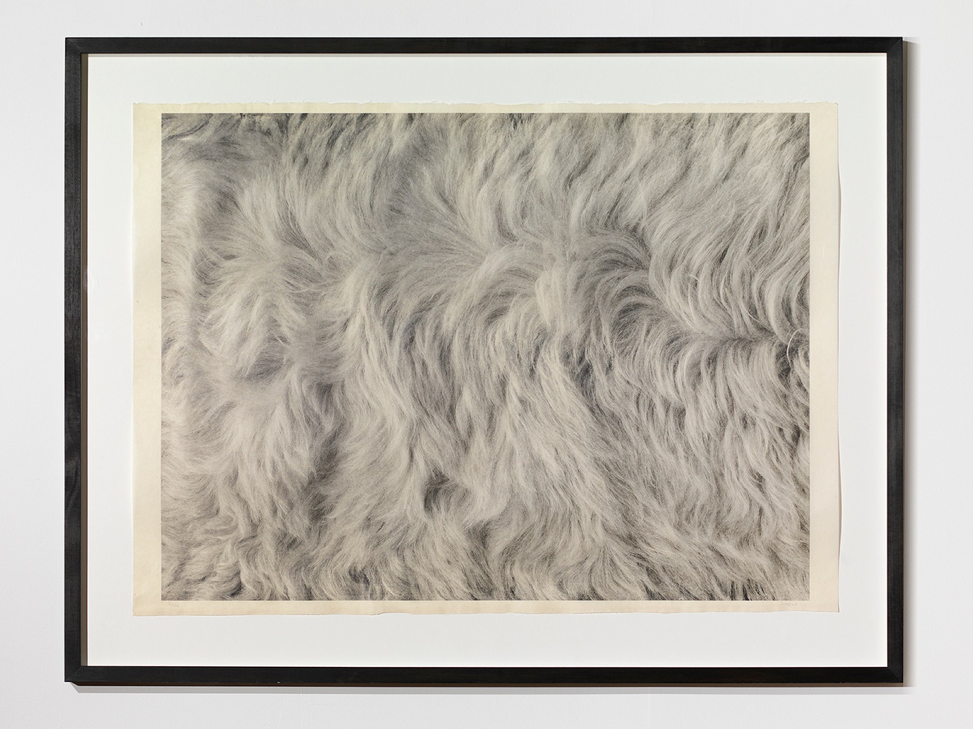 José María Sicilia, Eco at Galerie Chantal Crousel, photo 18
