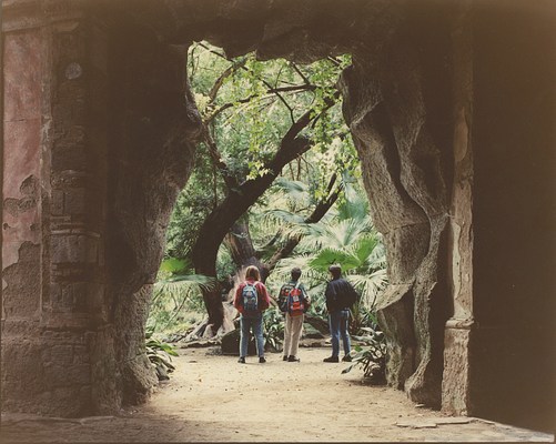 Image 28 of 61