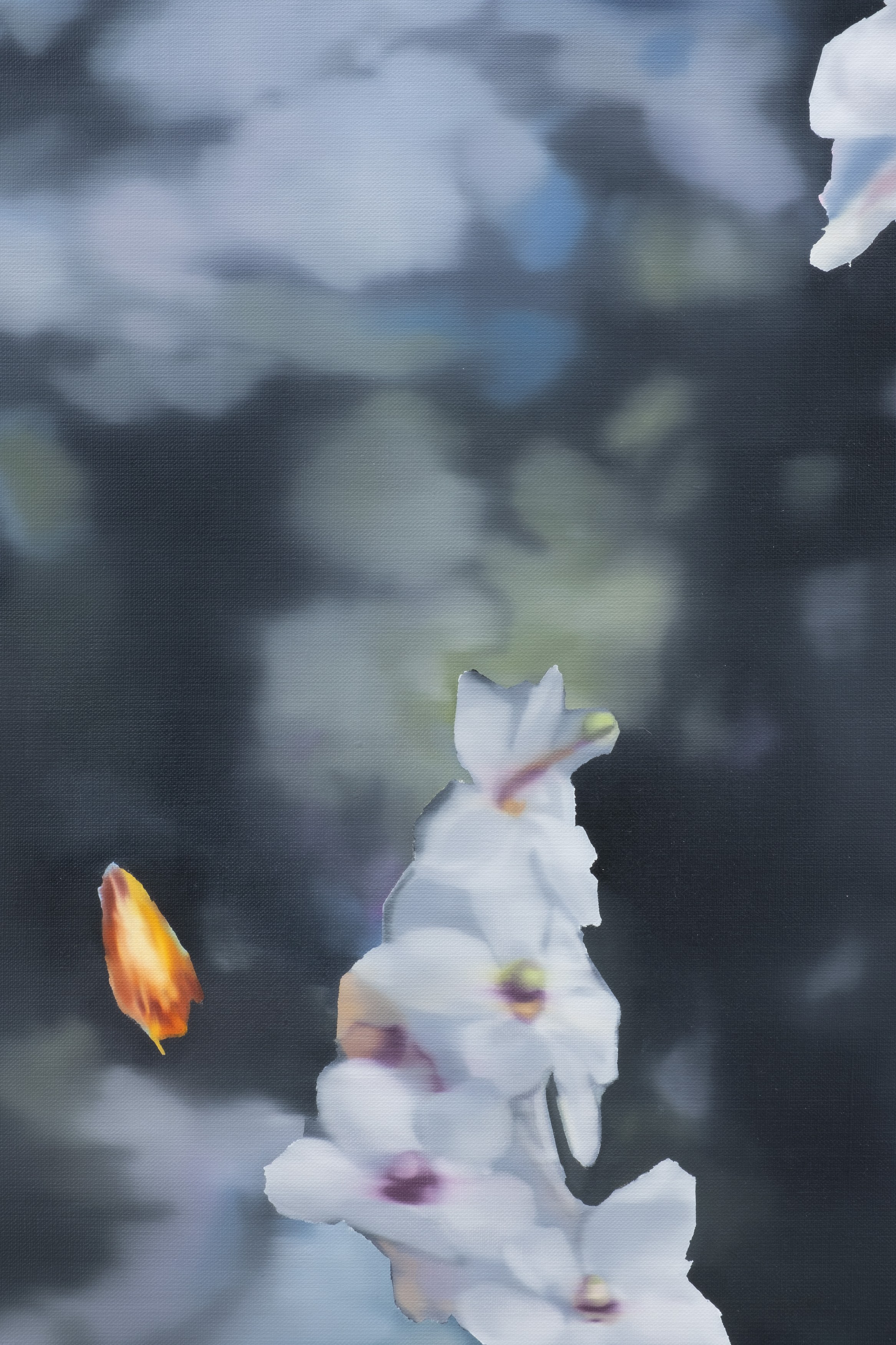 Installation view 9