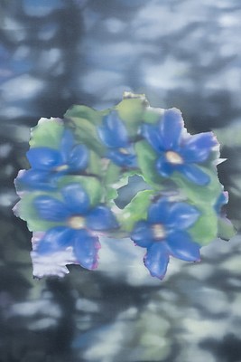 Image 15 of 38