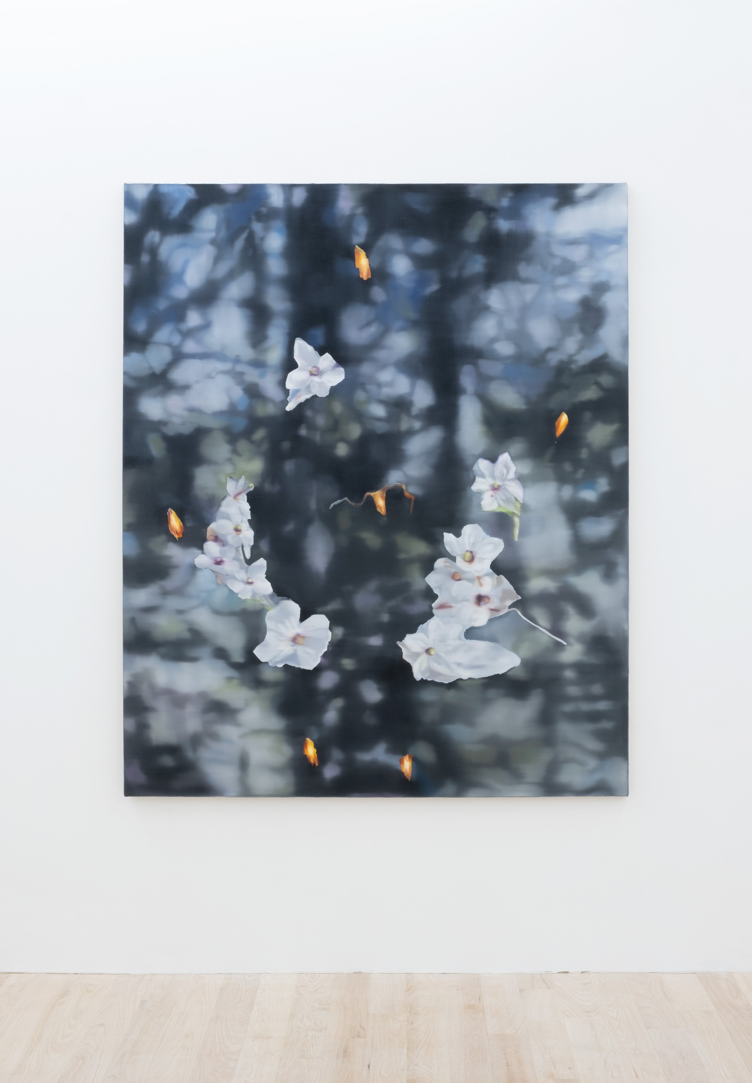 Installation view 7