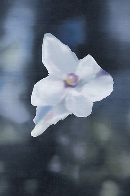Image 10 of 38