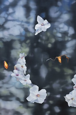 Image 11 of 38