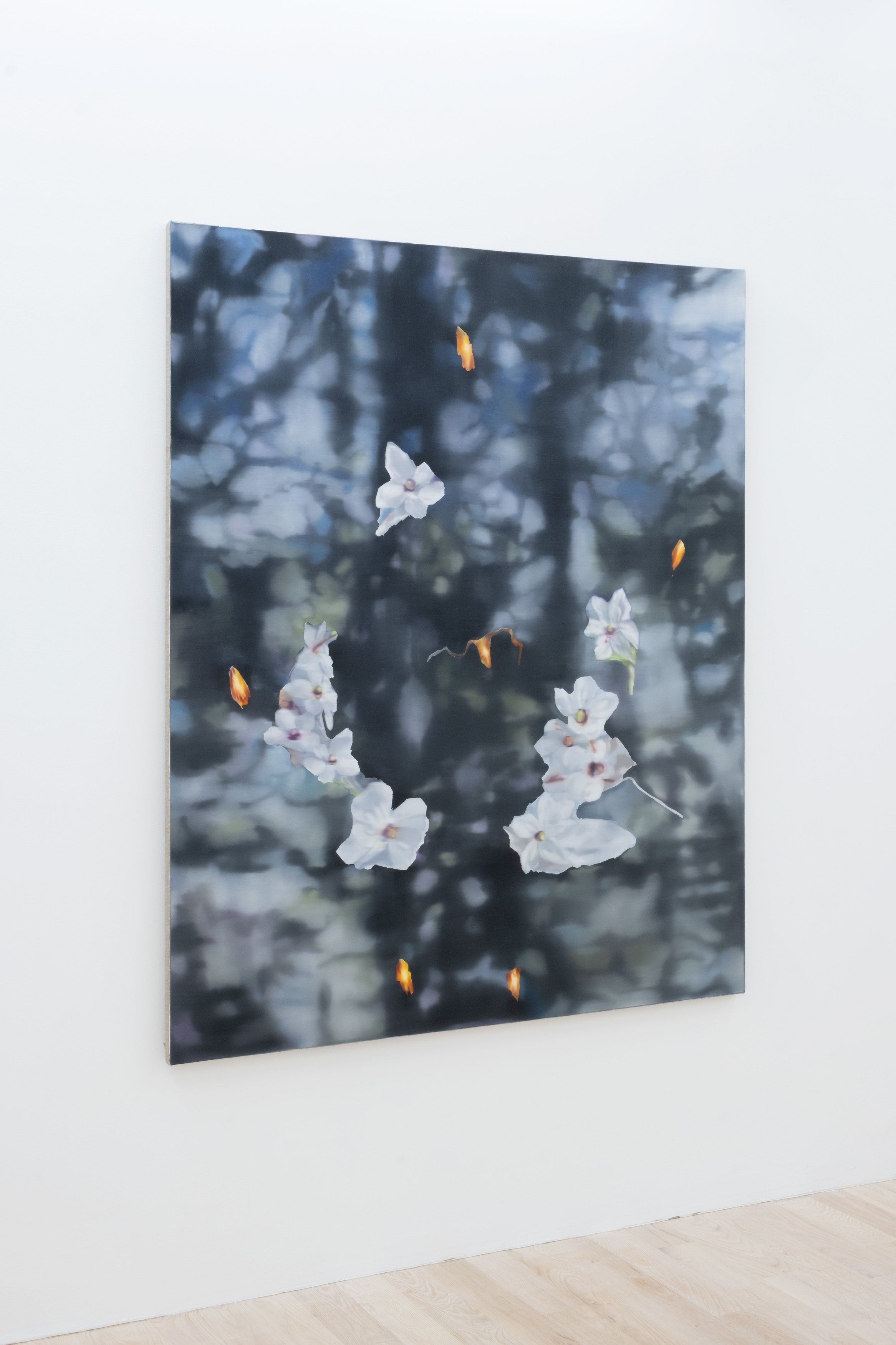 Installation view 8