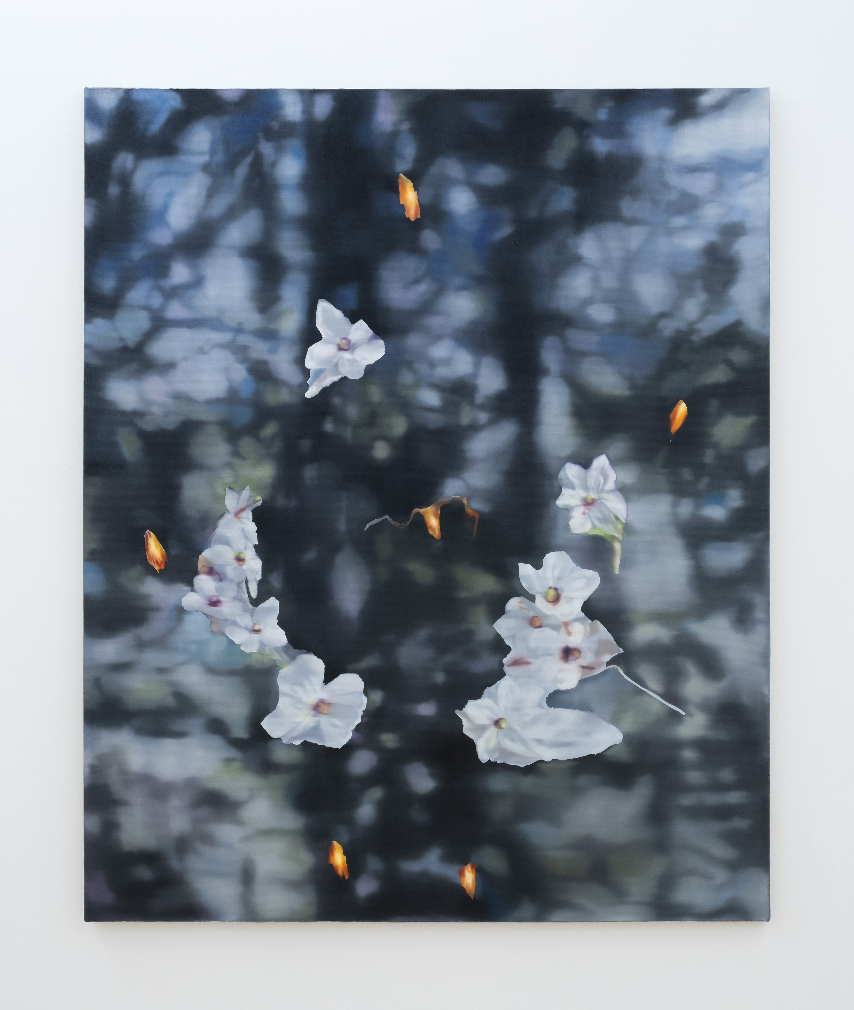 Installation view 12
