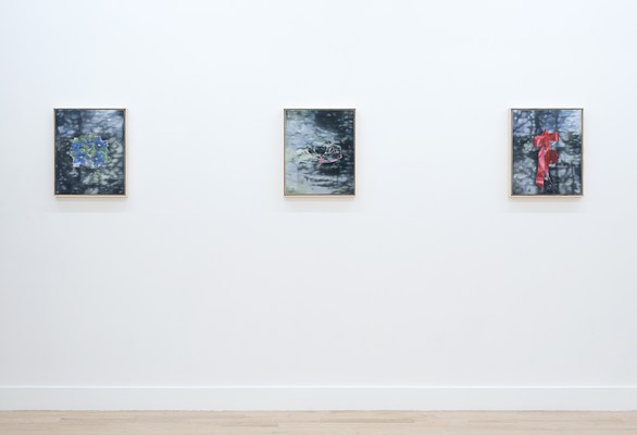 Image 4 of 38