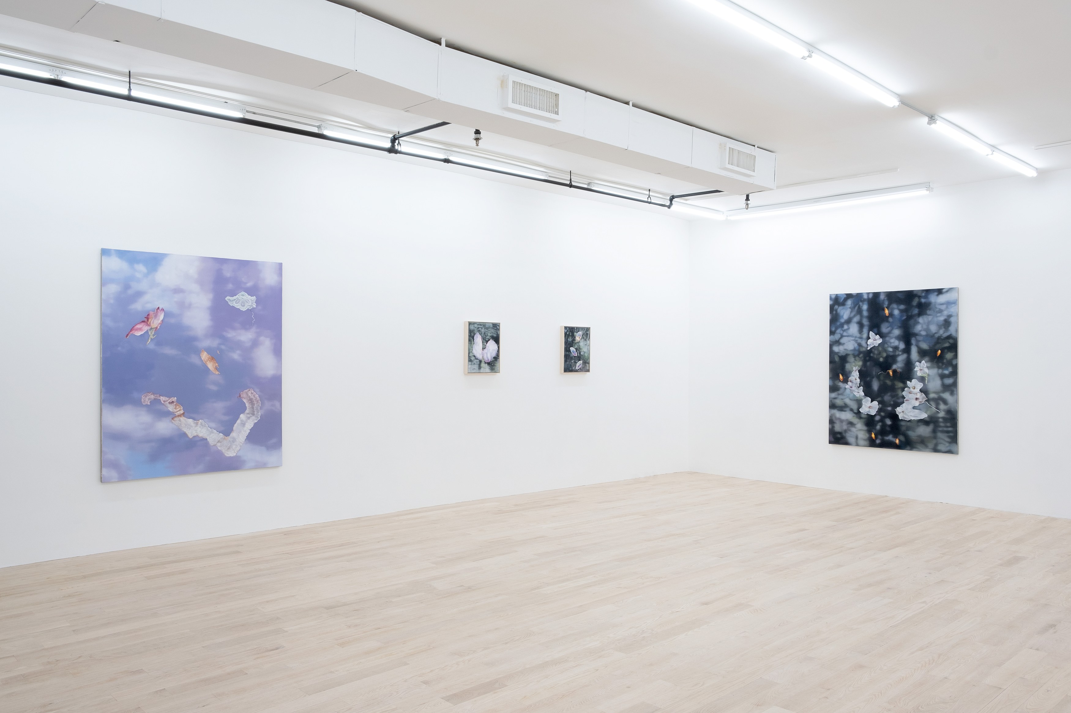 Installation view 6