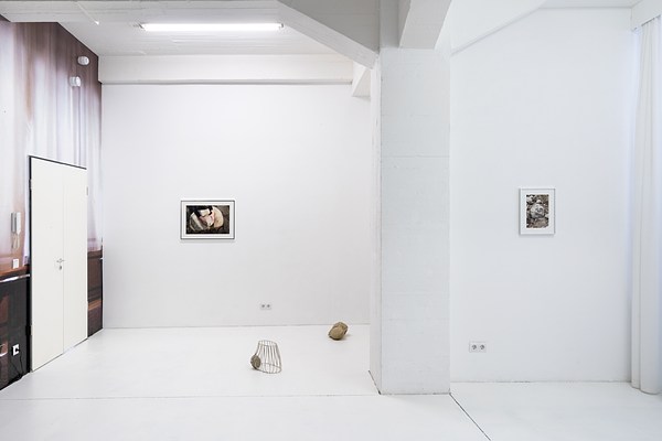 Image 7 of 15