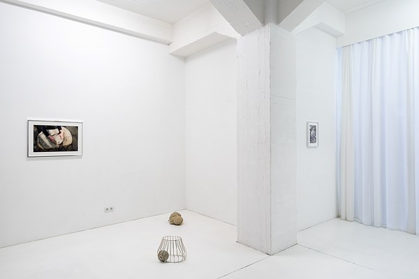 Image 6 of 15
