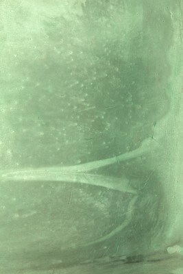 Image 17 of 35