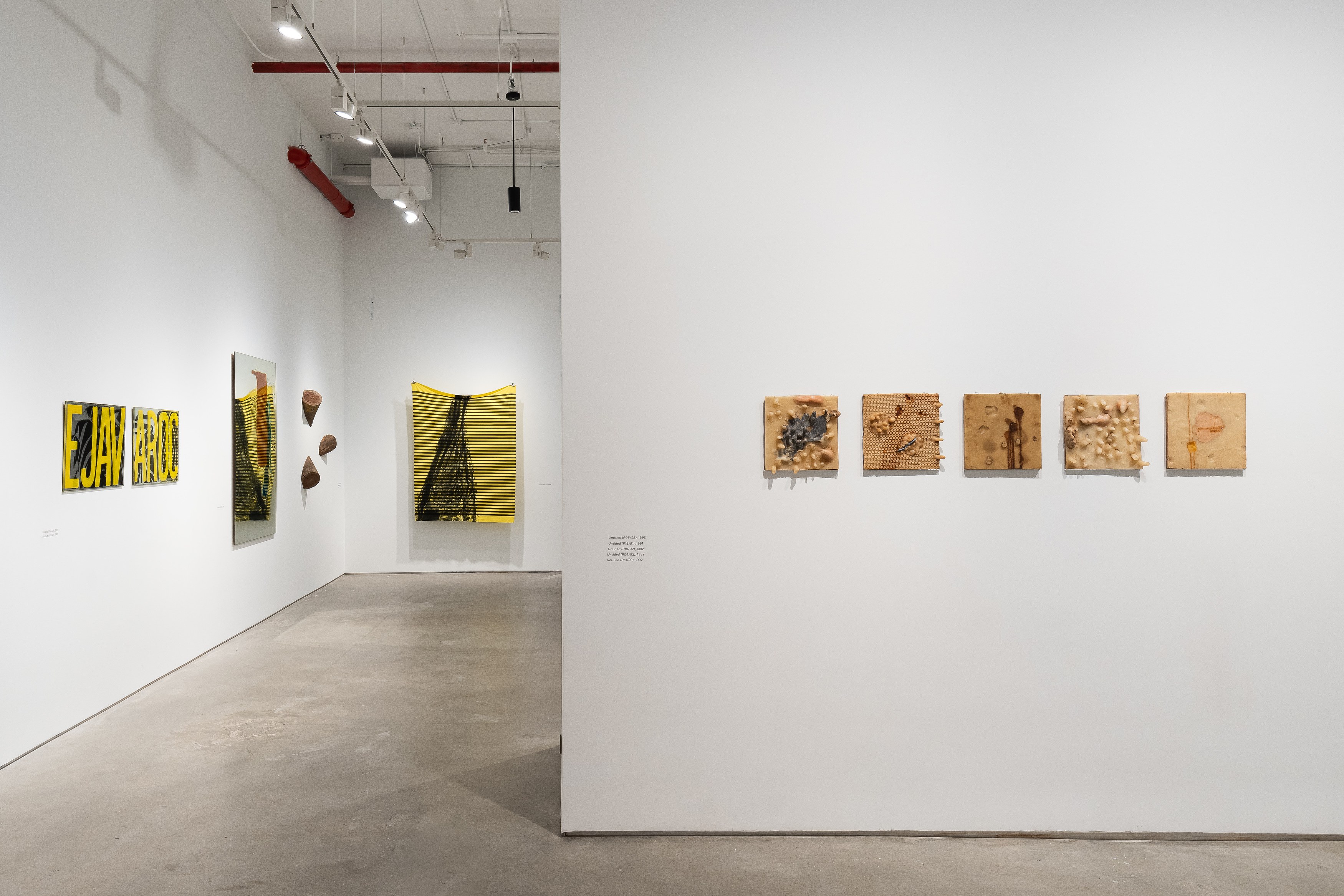 Carlito Carvalhosa, Matter as Image. Works from 1987 to 2021 at Nara Roesler, photo 8