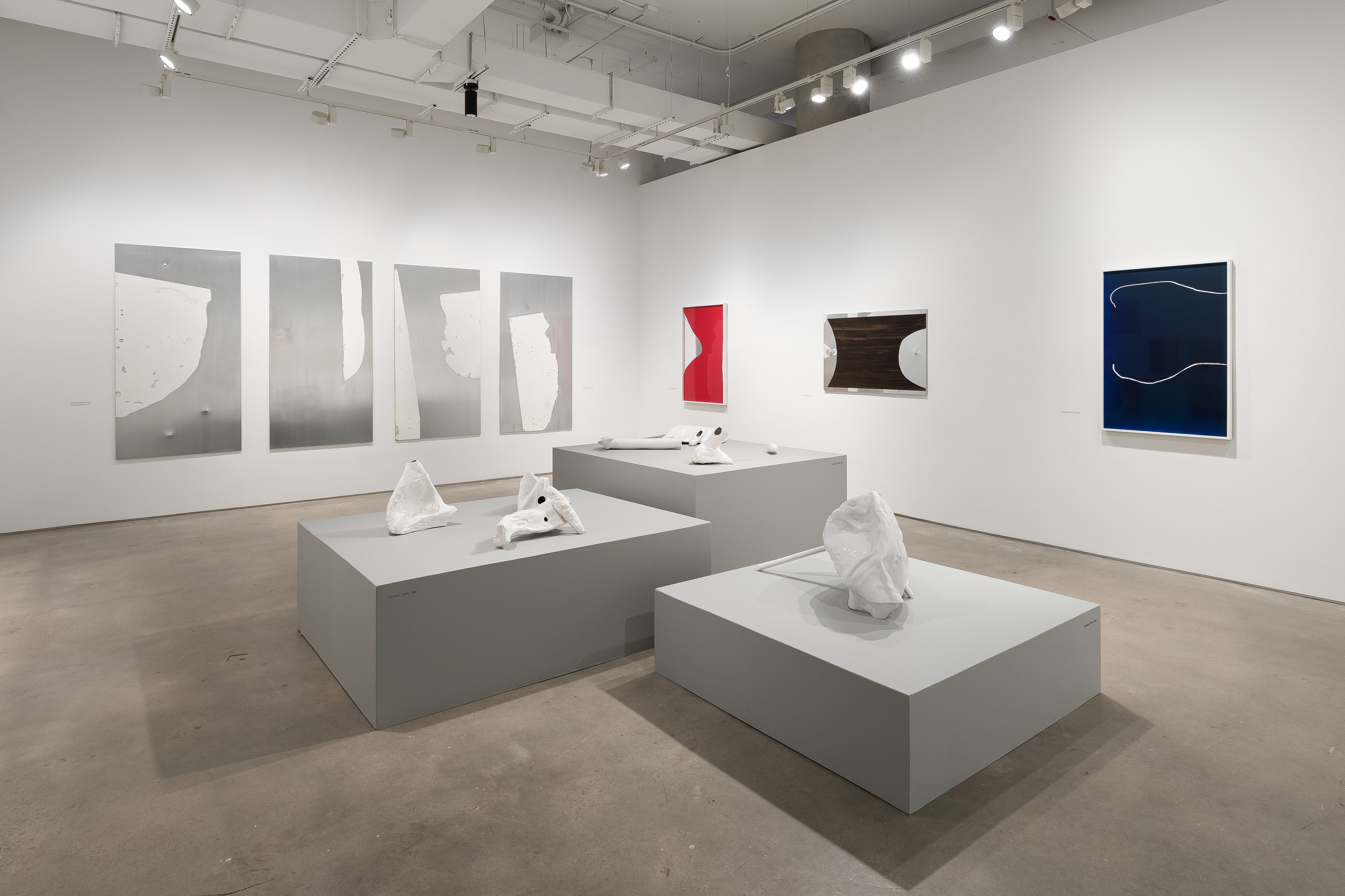 Carlito Carvalhosa, Matter as Image. Works from 1987 to 2021 at Nara Roesler, photo 5