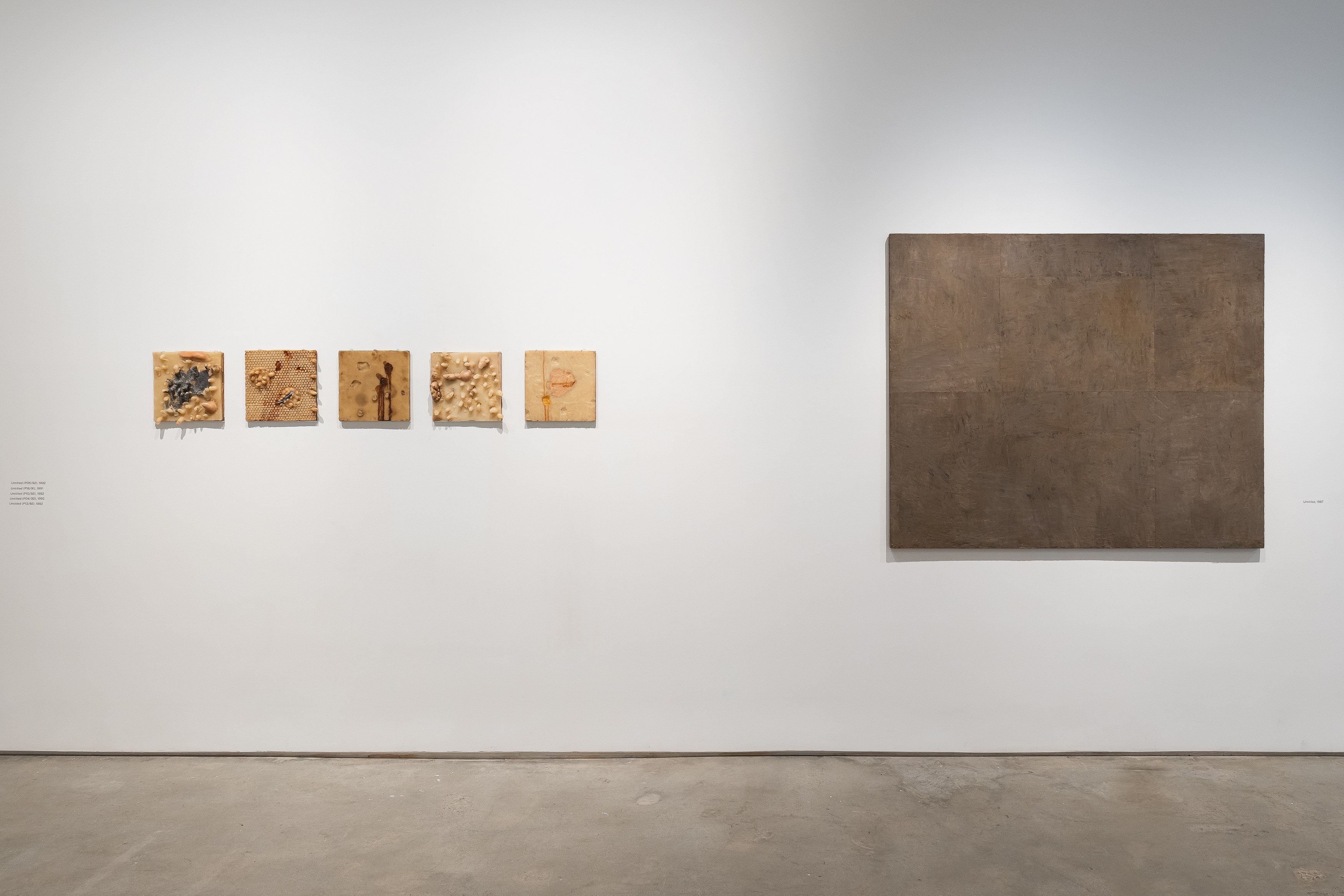 Carlito Carvalhosa, Matter as Image. Works from 1987 to 2021 at Nara Roesler, photo 13