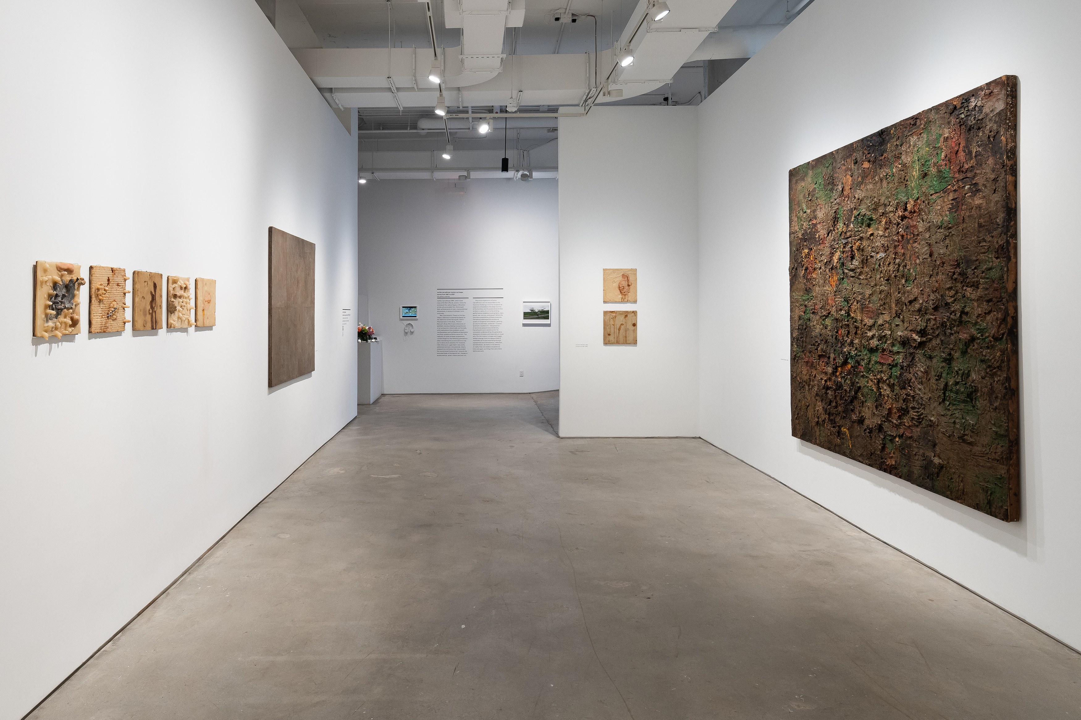Carlito Carvalhosa, Matter as Image. Works from 1987 to 2021 at Nara Roesler, photo 3