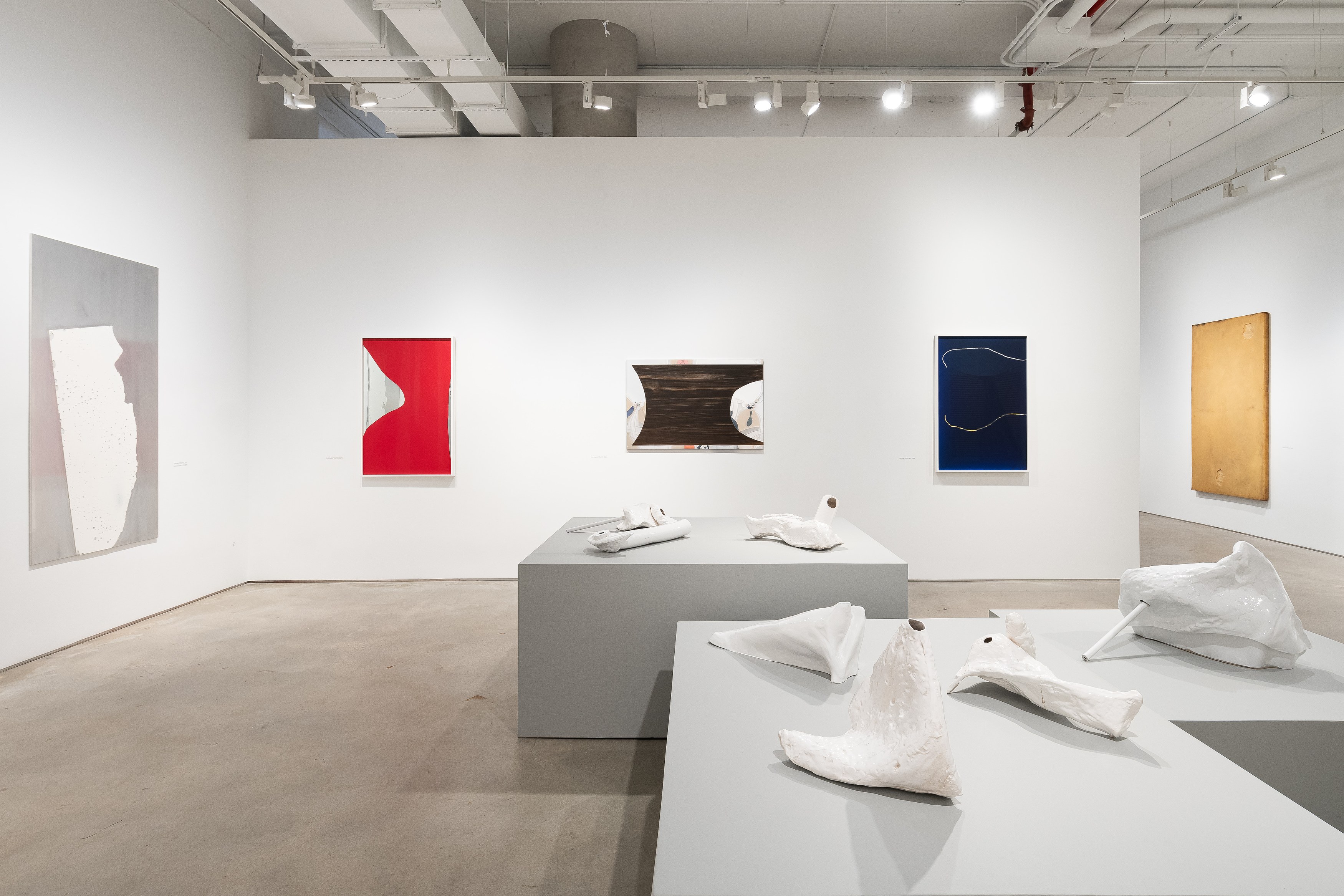 Carlito Carvalhosa, Matter as Image. Works from 1987 to 2021 at Nara Roesler, photo 15