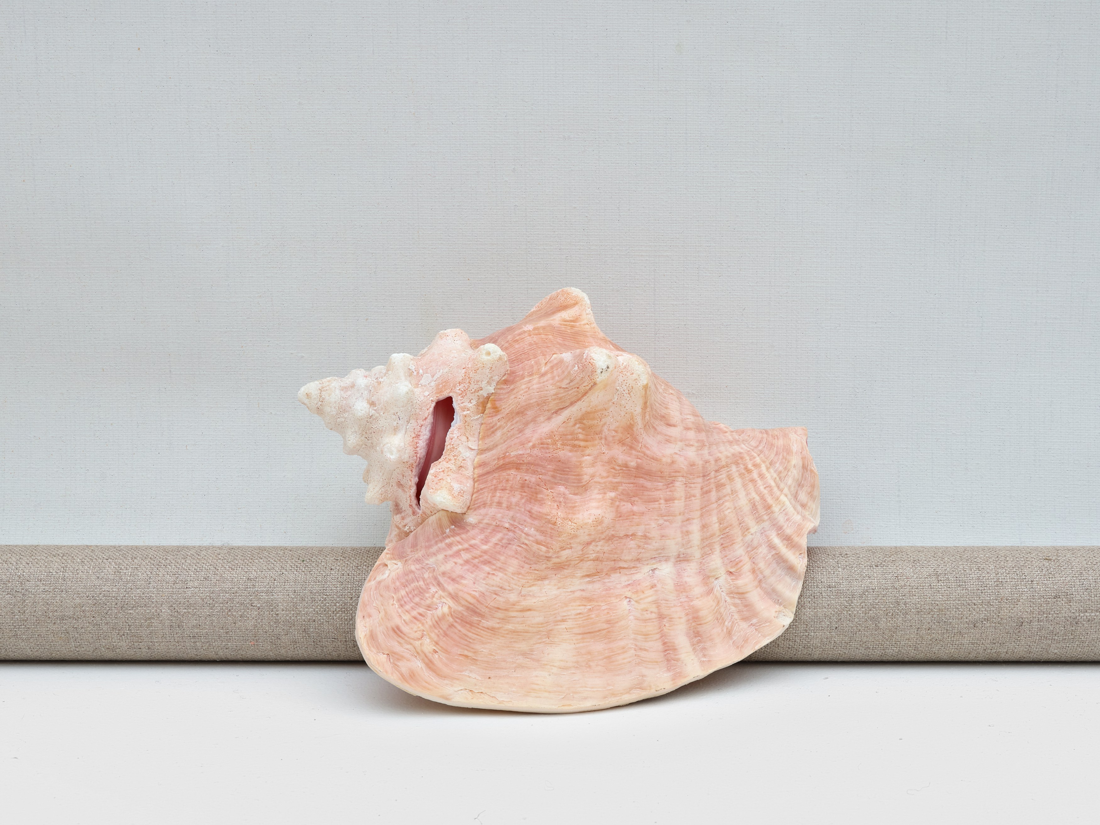 Emily Sundblad, Underlivet at Bortolami, photo 38