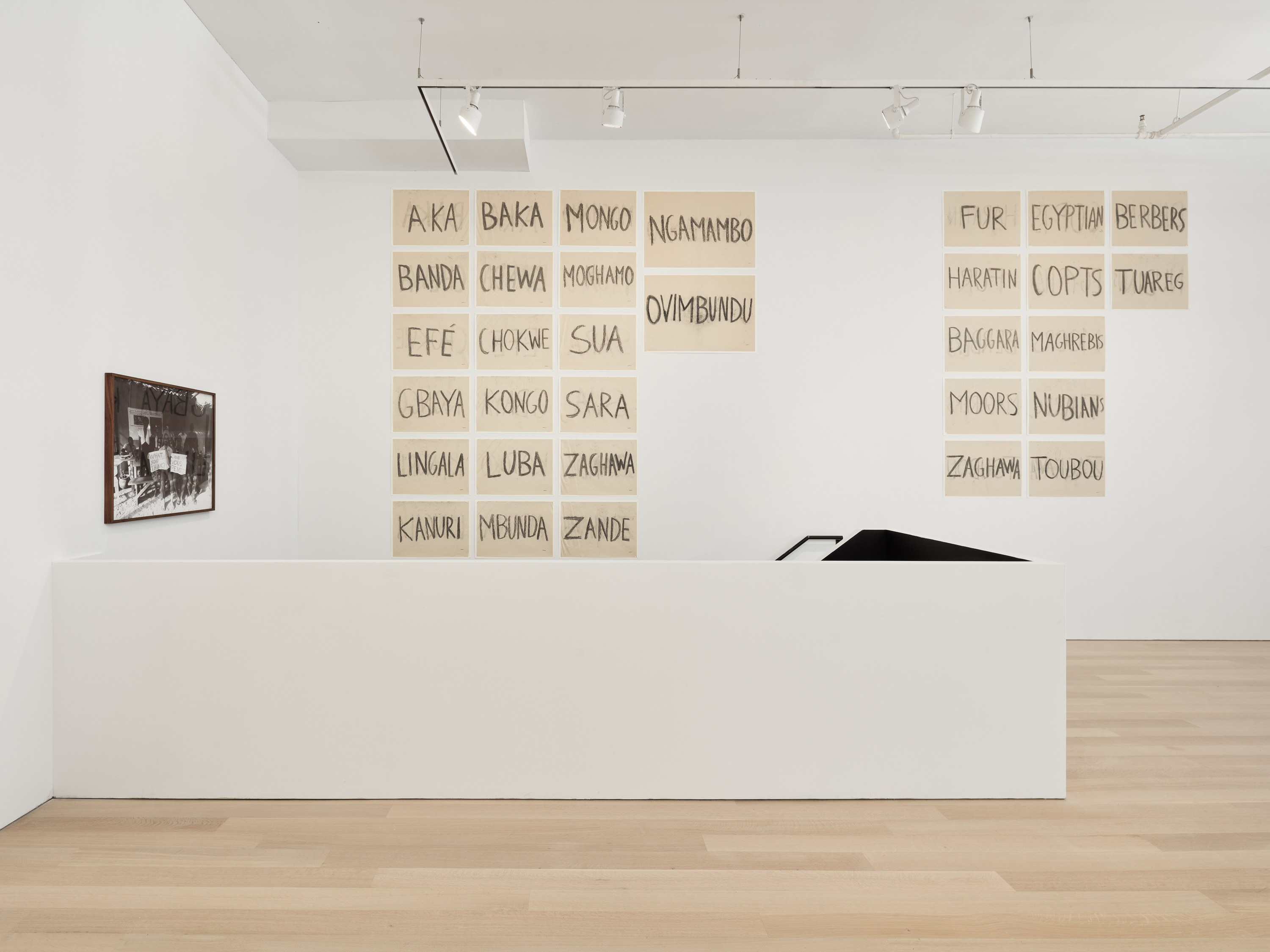 Paulo Nazareth, Nosotros los otros at Mendes Wood DM, photo 7