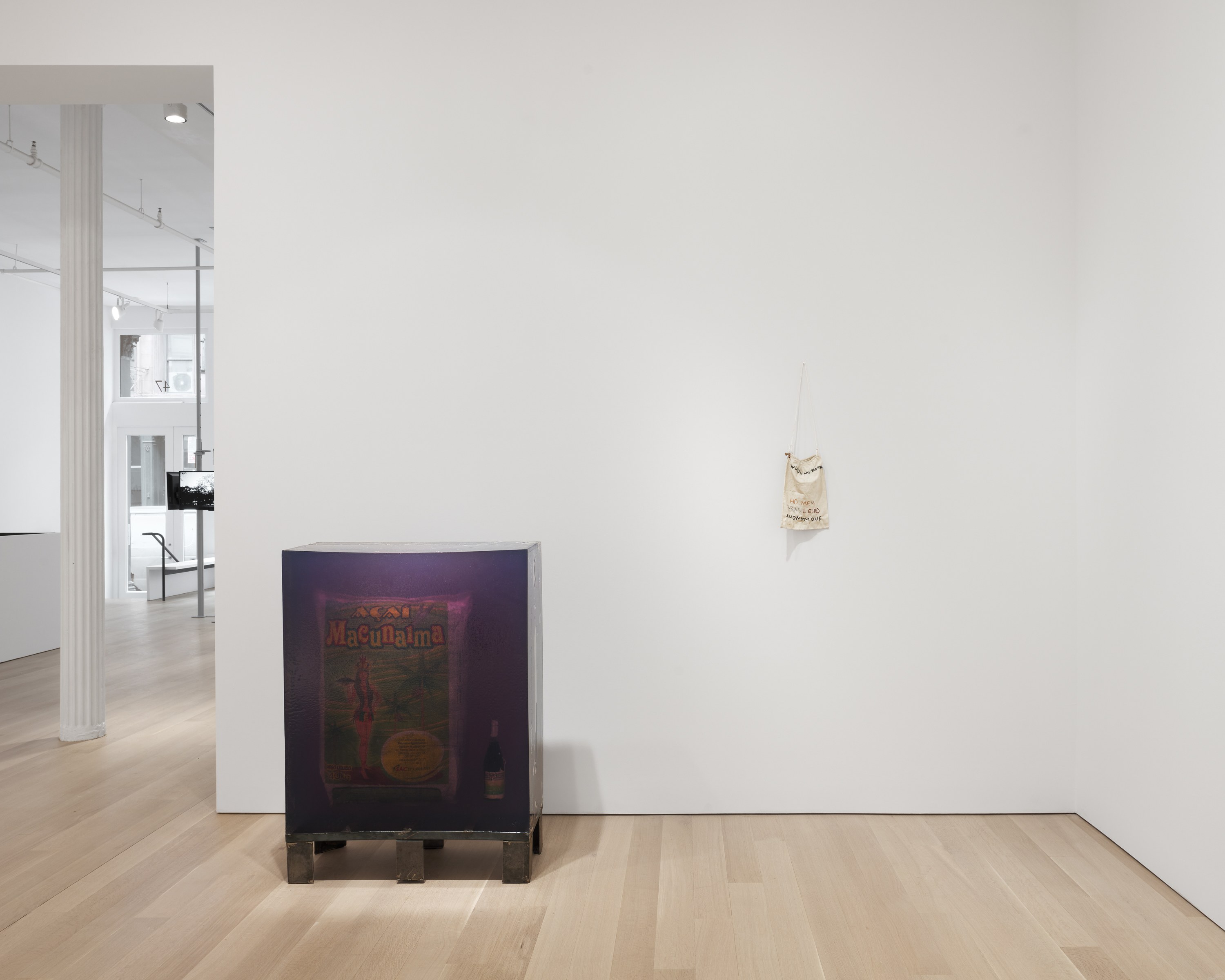 Paulo Nazareth, Nosotros los otros at Mendes Wood DM, photo 19