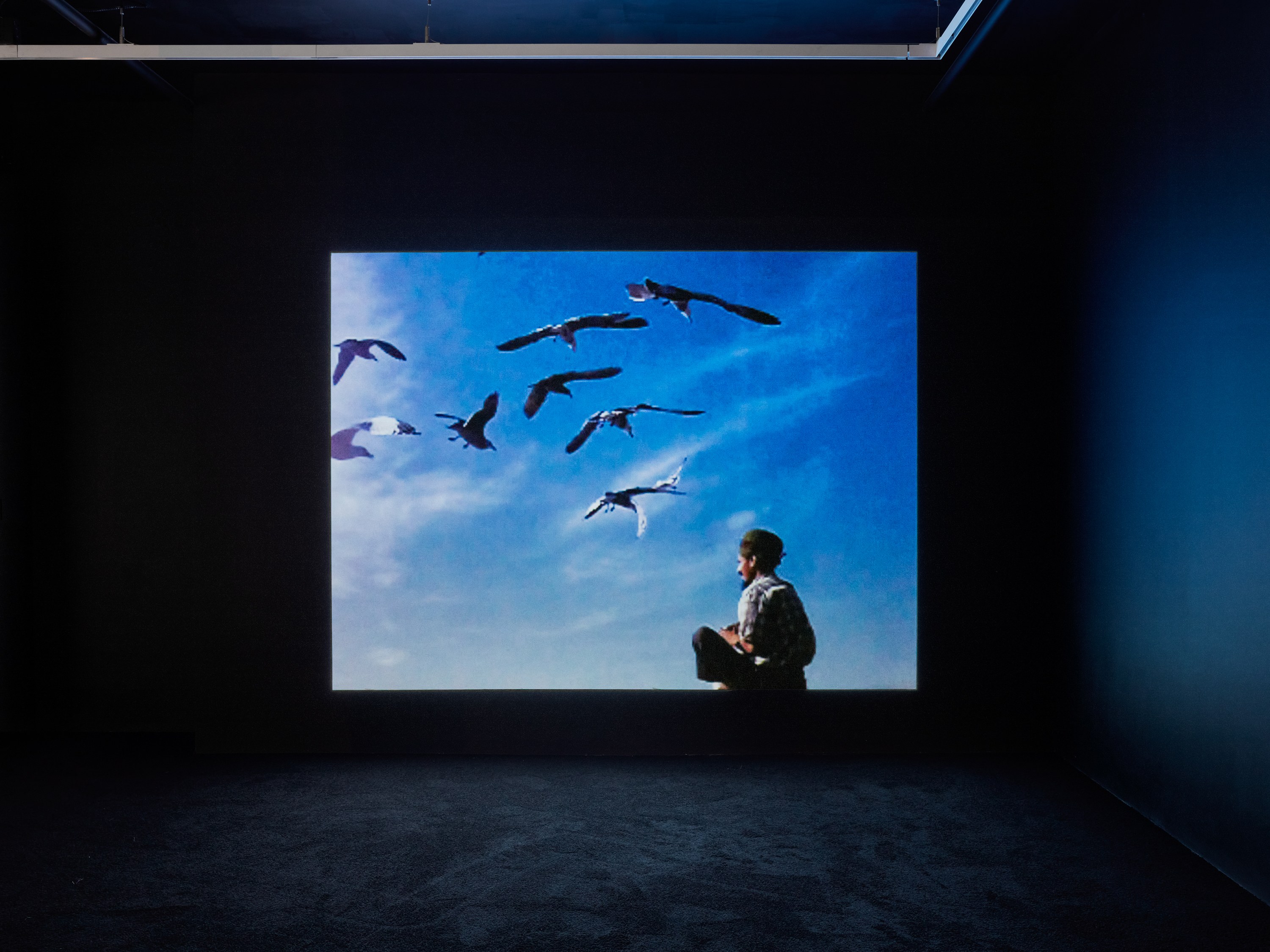 Paulo Nazareth, Nosotros los otros at Mendes Wood DM, photo 29