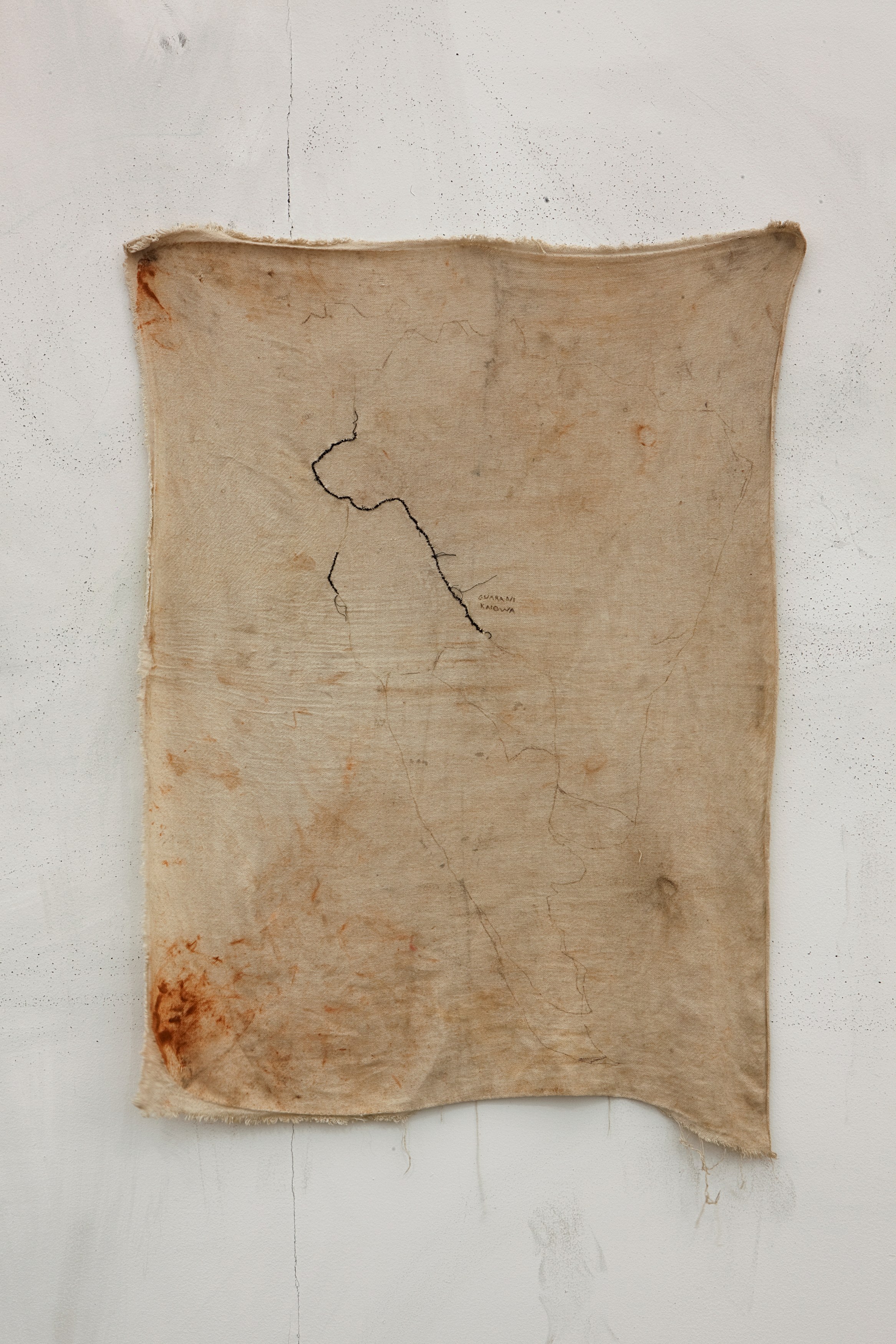 Paulo Nazareth, Nosotros los otros at Mendes Wood DM, photo 74