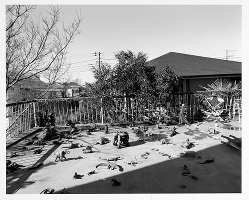 Image 20 of 189