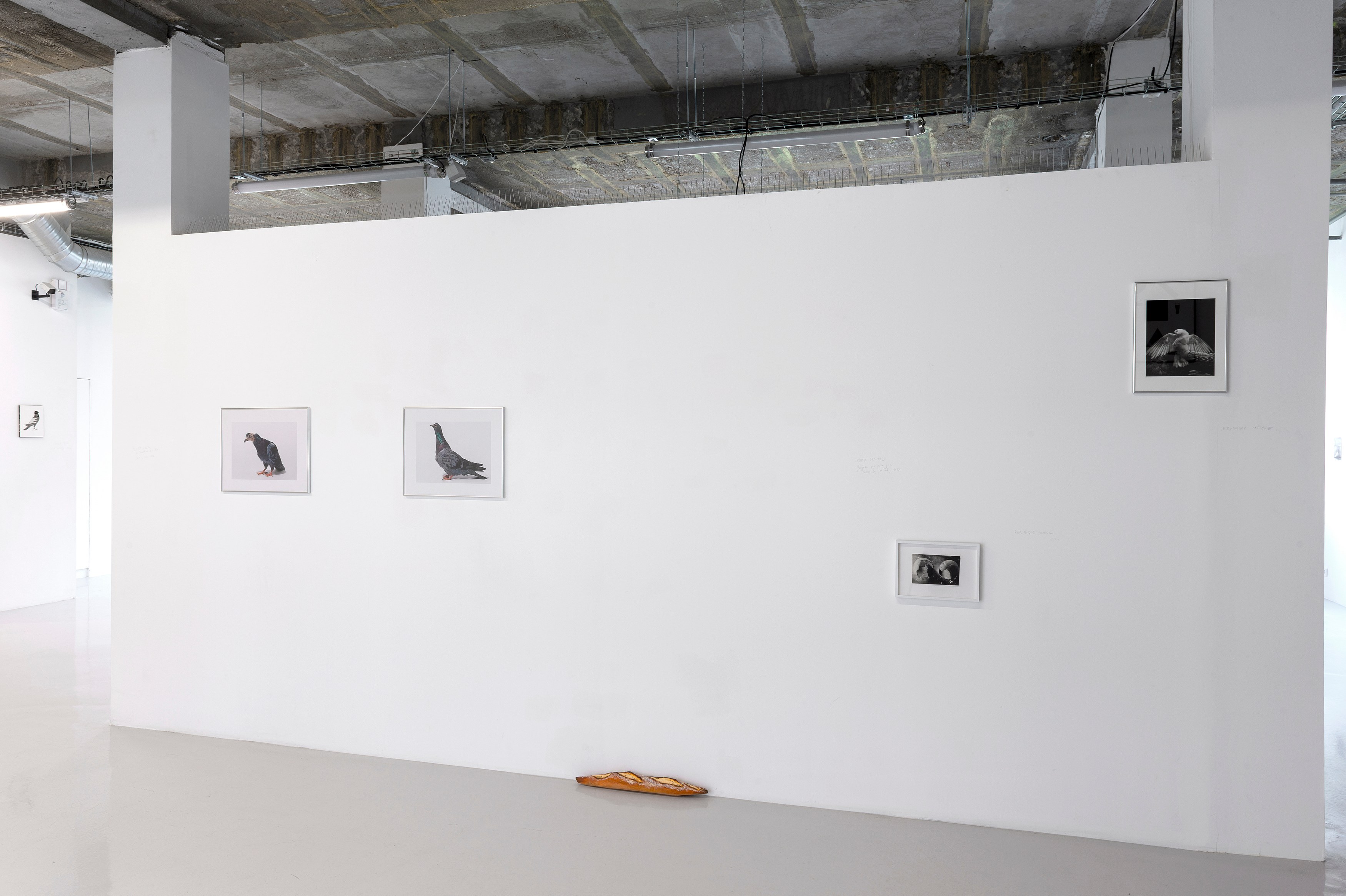 Les Pigeons du Square, Les Pigeons du Square at Air de Paris, photo 5