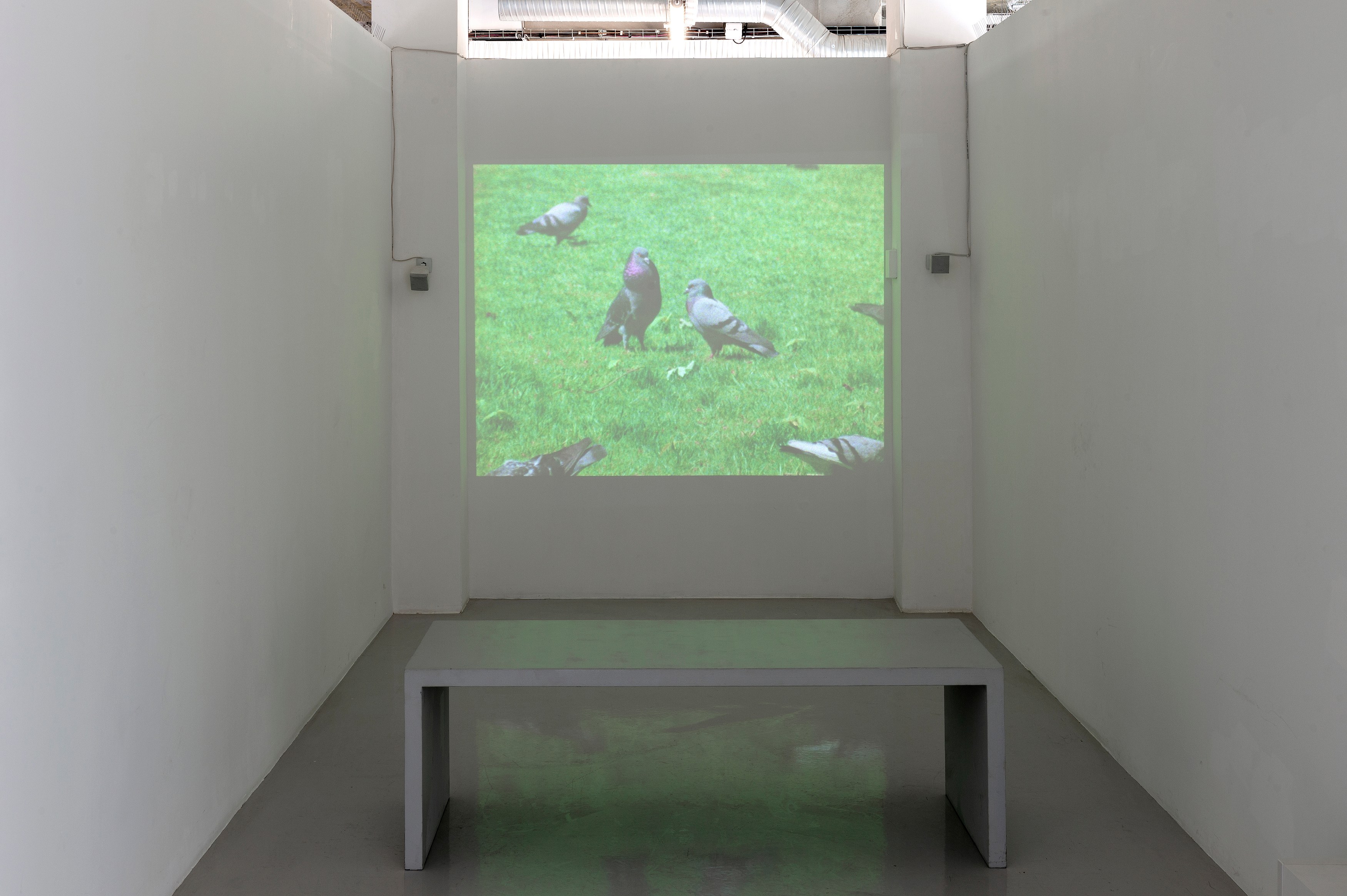 Les Pigeons du Square, Les Pigeons du Square at Air de Paris, photo 14