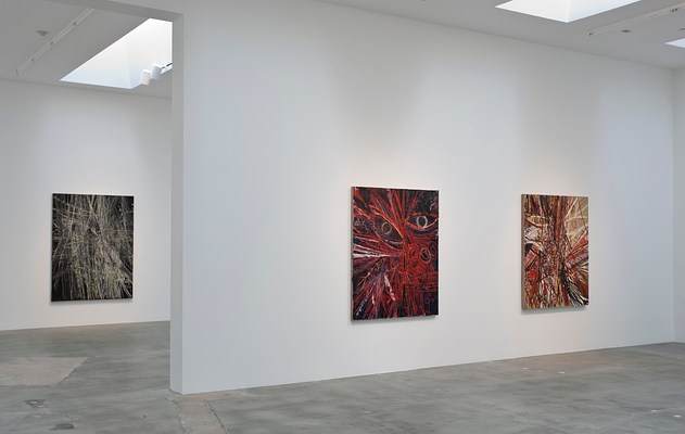 Image 4 of 17