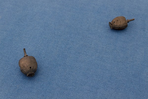 Image 24 of 24