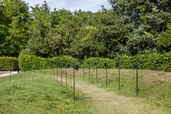 Image 1 of 15