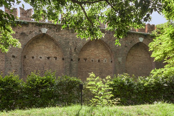Image 5 of 15
