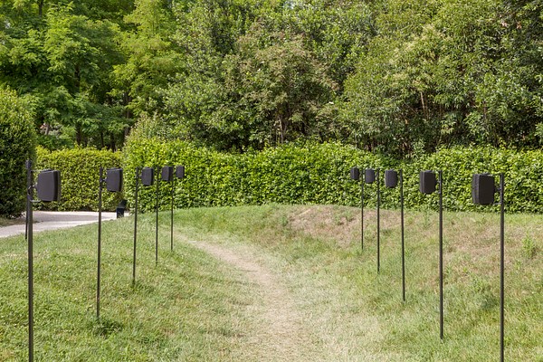 Image 10 of 15