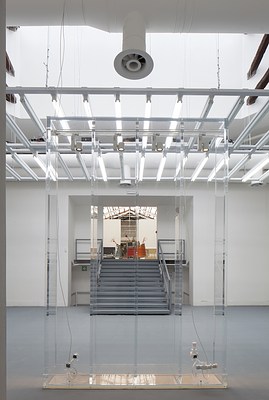 Image 8 of 13