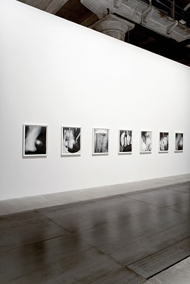 Image 2 of 13