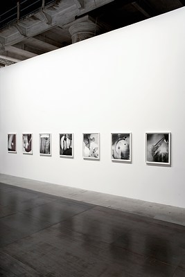 Image 6 of 13