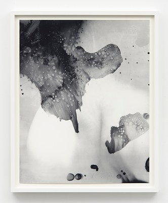 Image 11 of 13