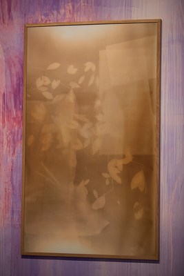 Image 7 of 7