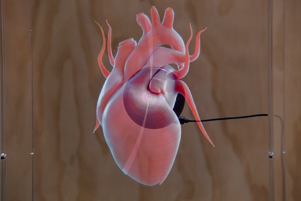 Image 5 of 11