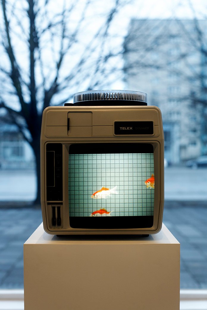 Tris Vonna-Michell, Untitled at Capitain Petzel, photo 7