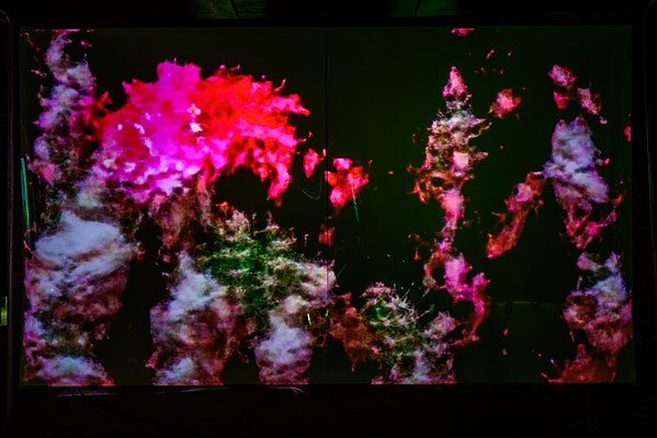 Image 11 of 28