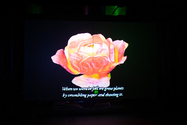 Image 12 of 28