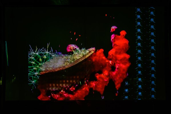 Image 13 of 28