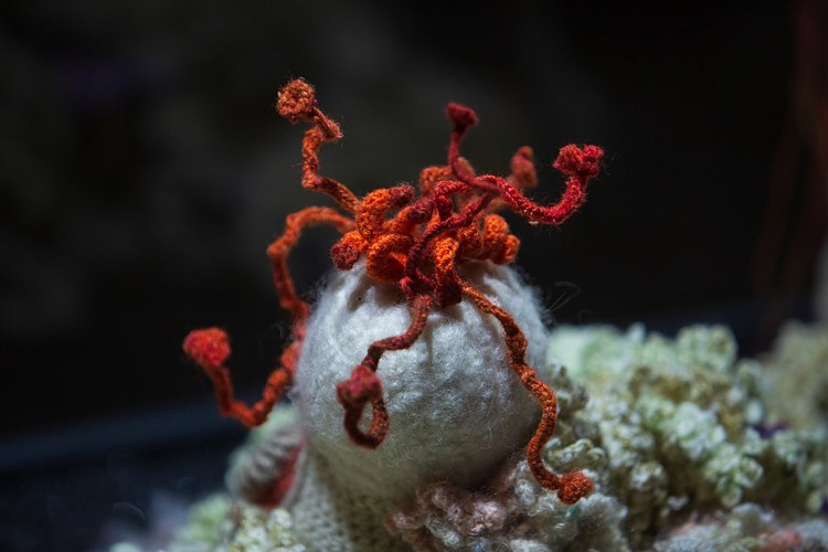 Margaret Wertheim and Christine Wertheim at The Arsenale at the Venice
