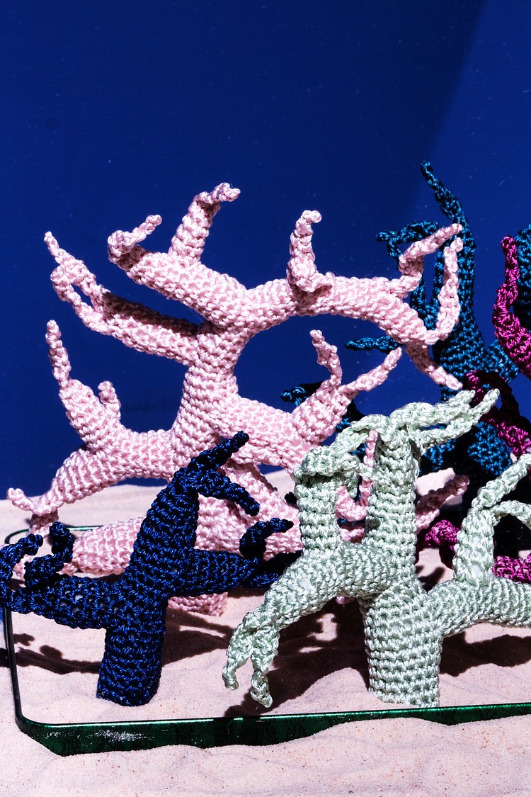 Margaret Wertheim and Christine Wertheim at Central Pavilion, Giardini, Venice Contemporary