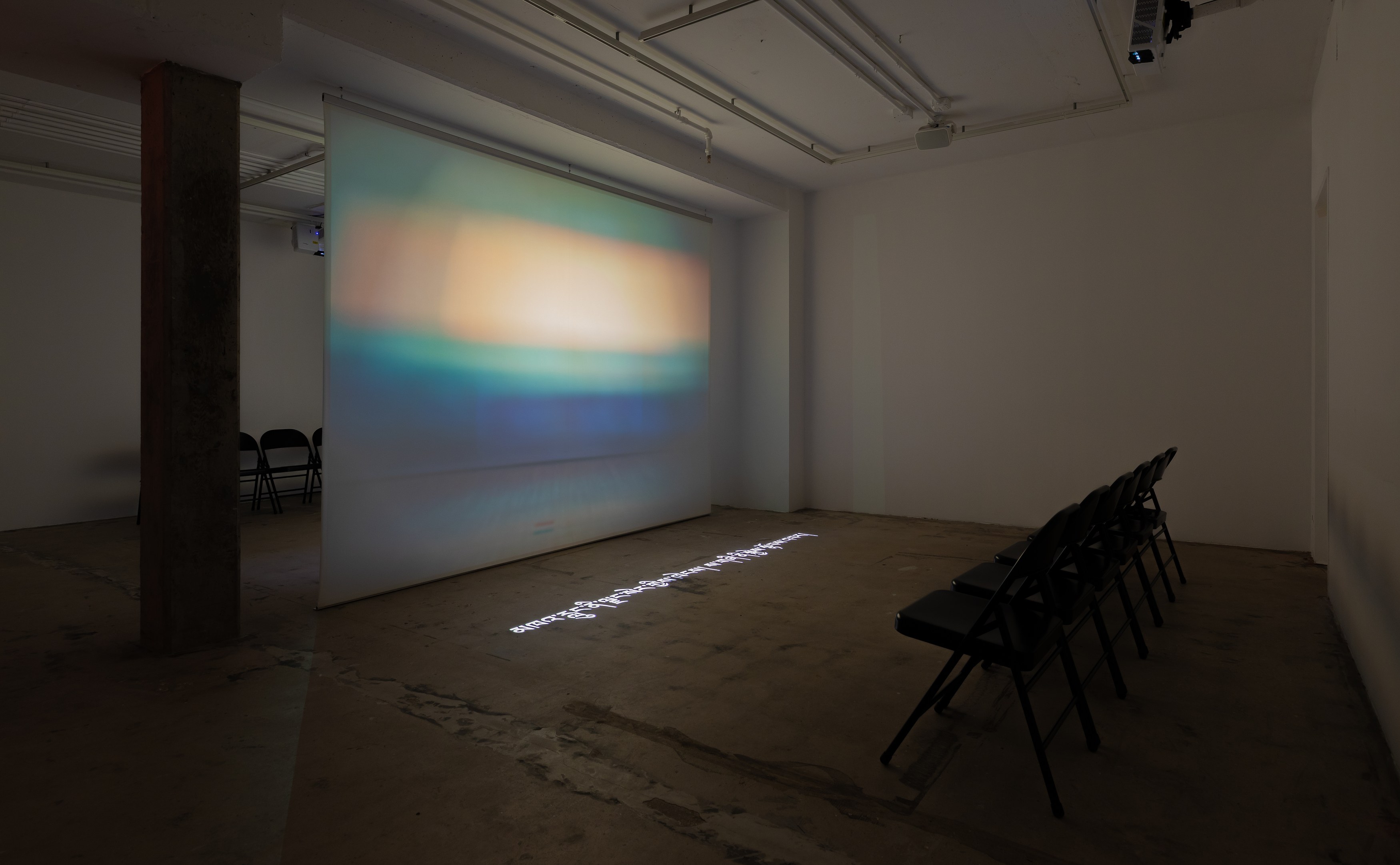 Shen Xin, ས་གཞི་སྔོན་པོ་འགྱུར། (THE EARTH TURNED GREEN) at Swiss Institute, photo 2