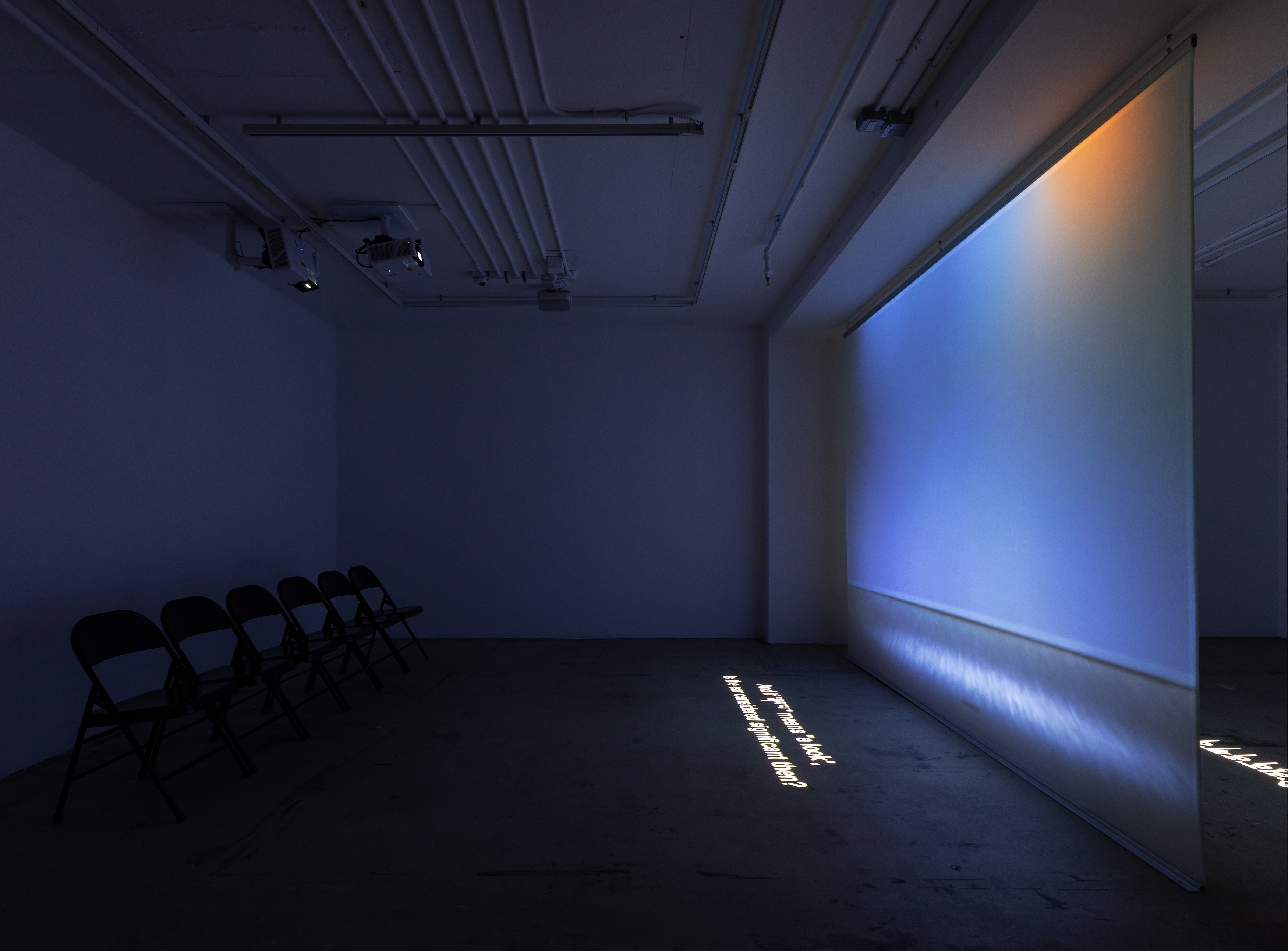 Shen Xin, ས་གཞི་སྔོན་པོ་འགྱུར། (THE EARTH TURNED GREEN) at Swiss Institute, photo 4