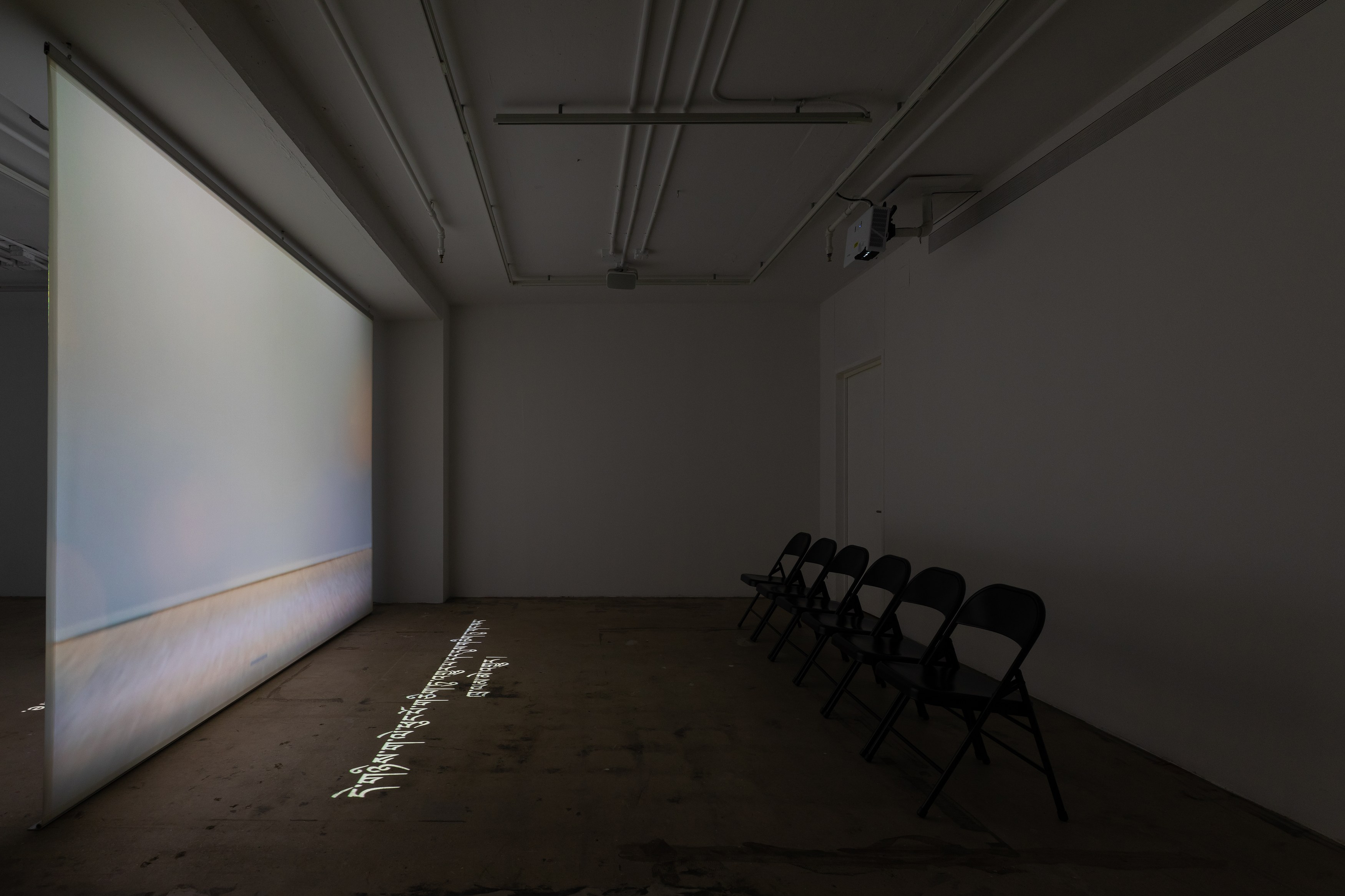 Shen Xin, ས་གཞི་སྔོན་པོ་འགྱུར། (THE EARTH TURNED GREEN) at Swiss Institute, photo 3