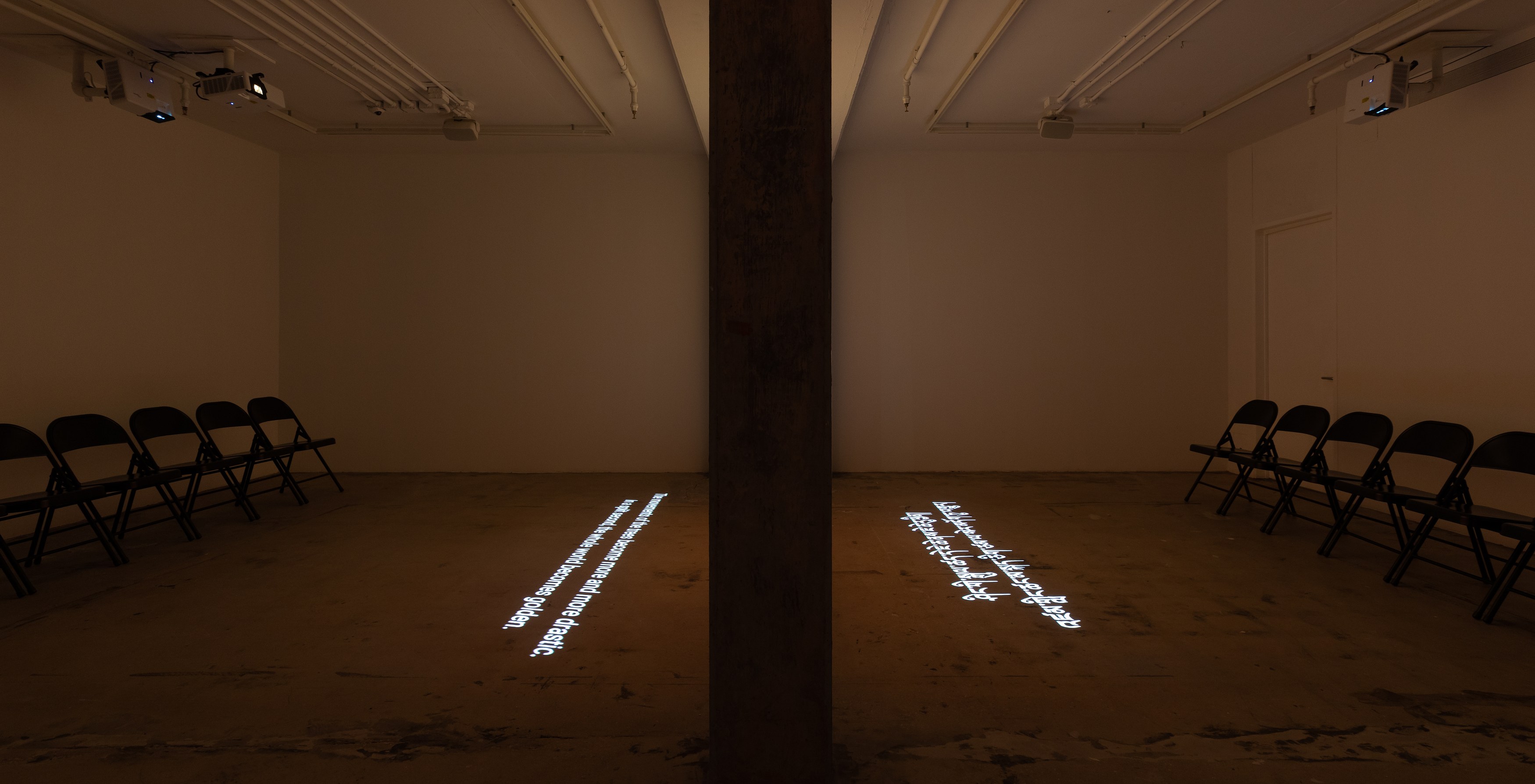 Shen Xin, ས་གཞི་སྔོན་པོ་འགྱུར། (THE EARTH TURNED GREEN) at Swiss Institute, photo 7