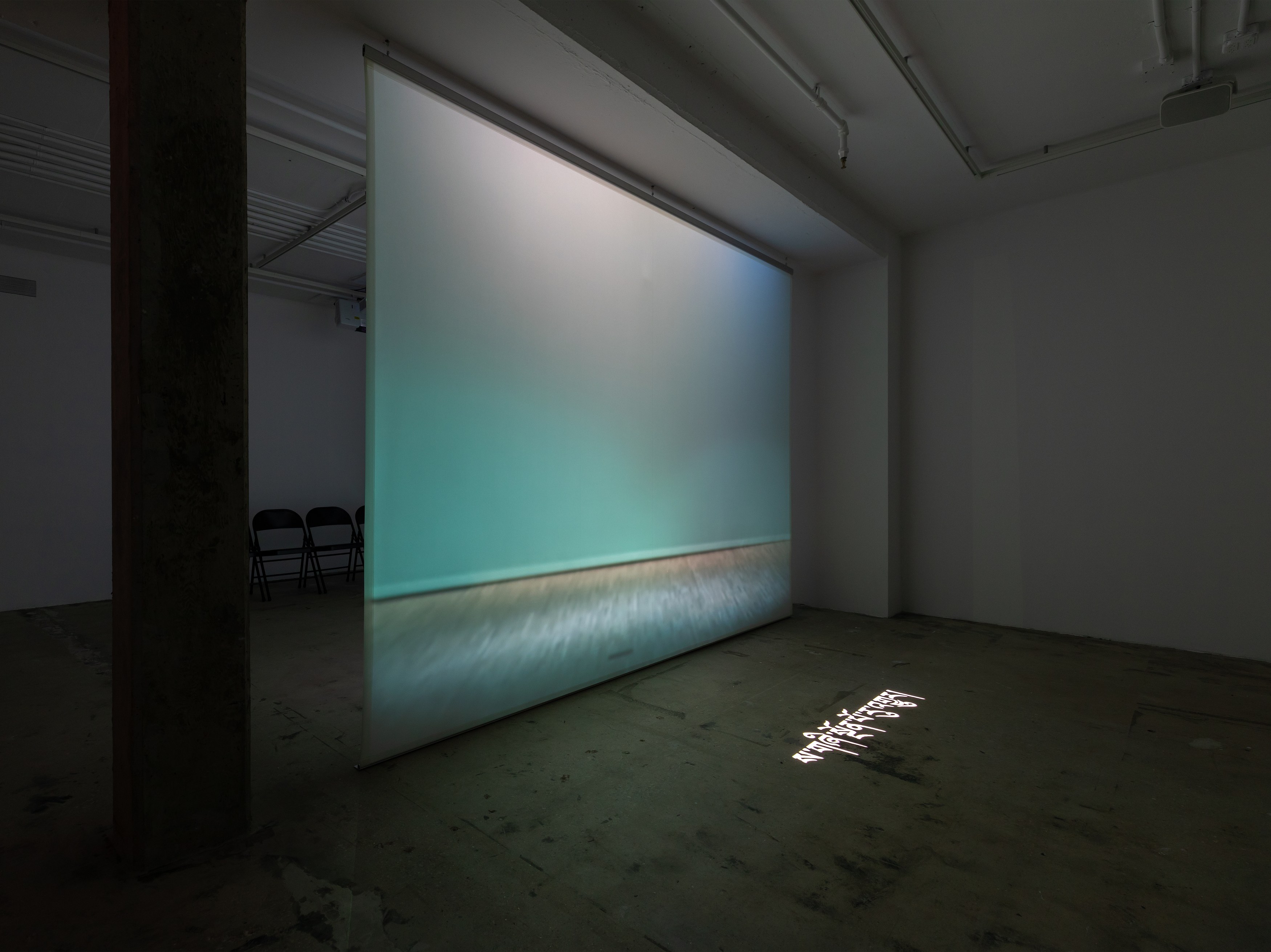 Shen Xin, ས་གཞི་སྔོན་པོ་འགྱུར། (THE EARTH TURNED GREEN) at Swiss Institute, photo 8
